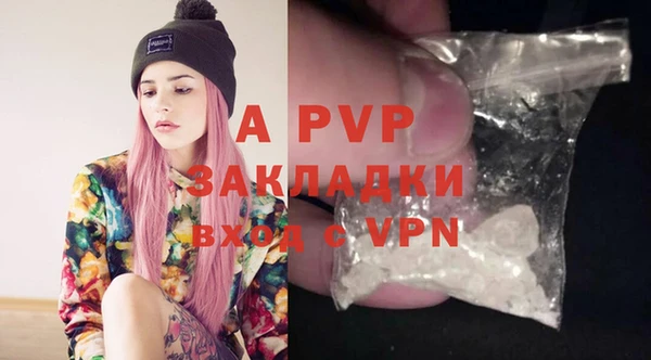шишки Пересвет