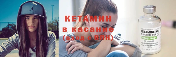 шишки Пересвет