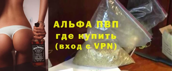 шишки Пересвет
