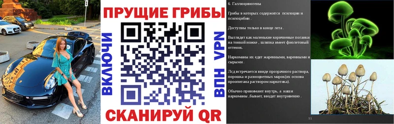 Галлюциногенные грибы ЛСД  Луза 